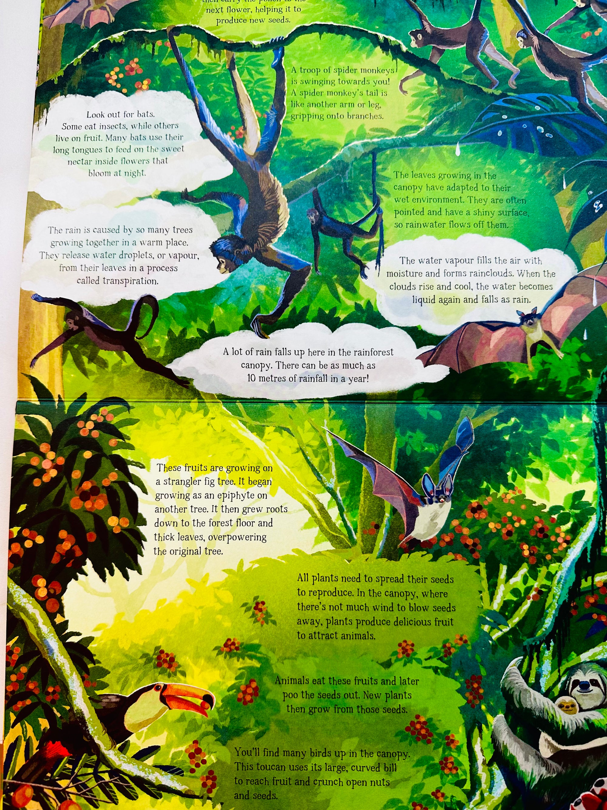 (Look Closer) The Forest That Grows Around Me