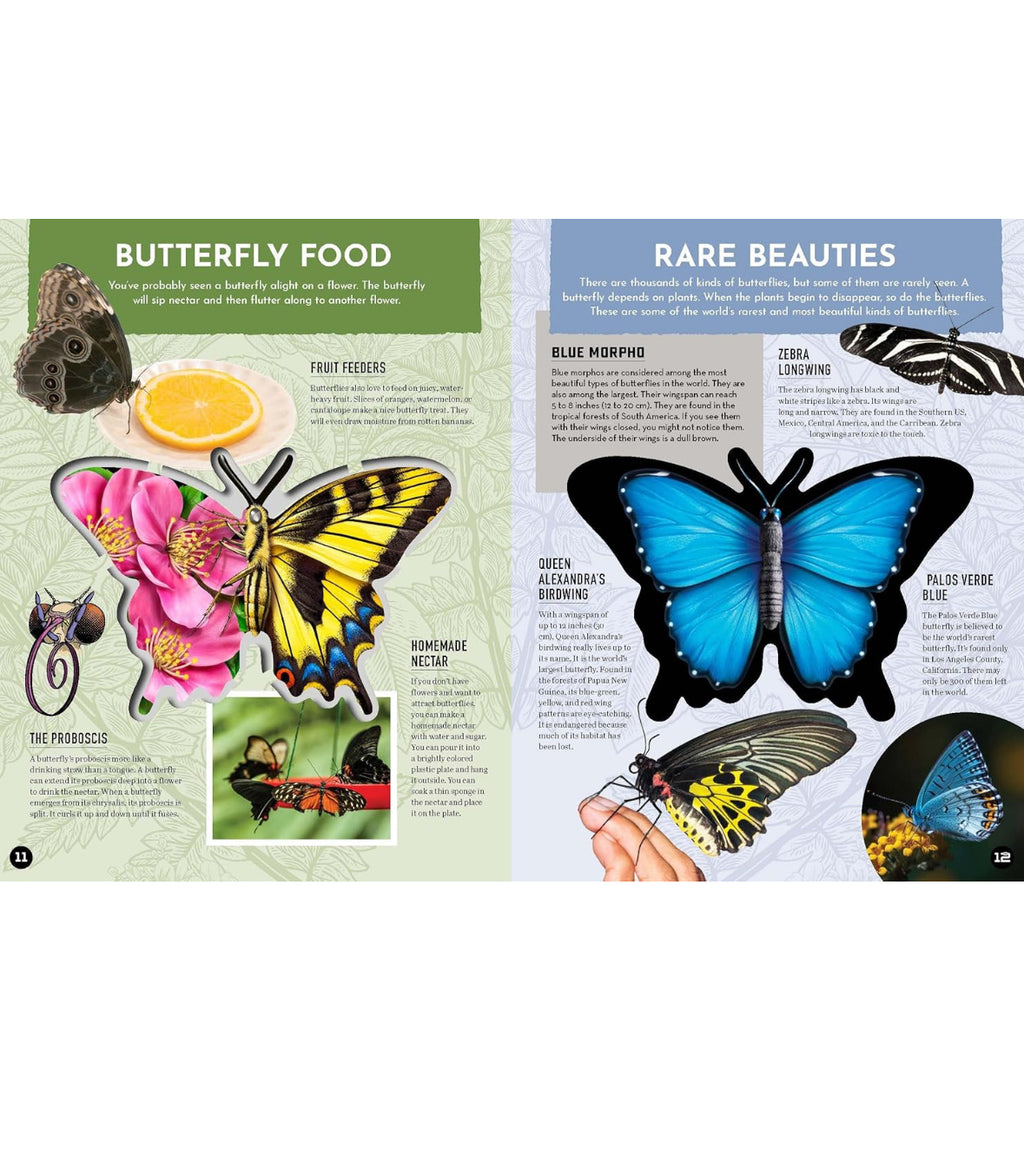 Inside Out Butterfly