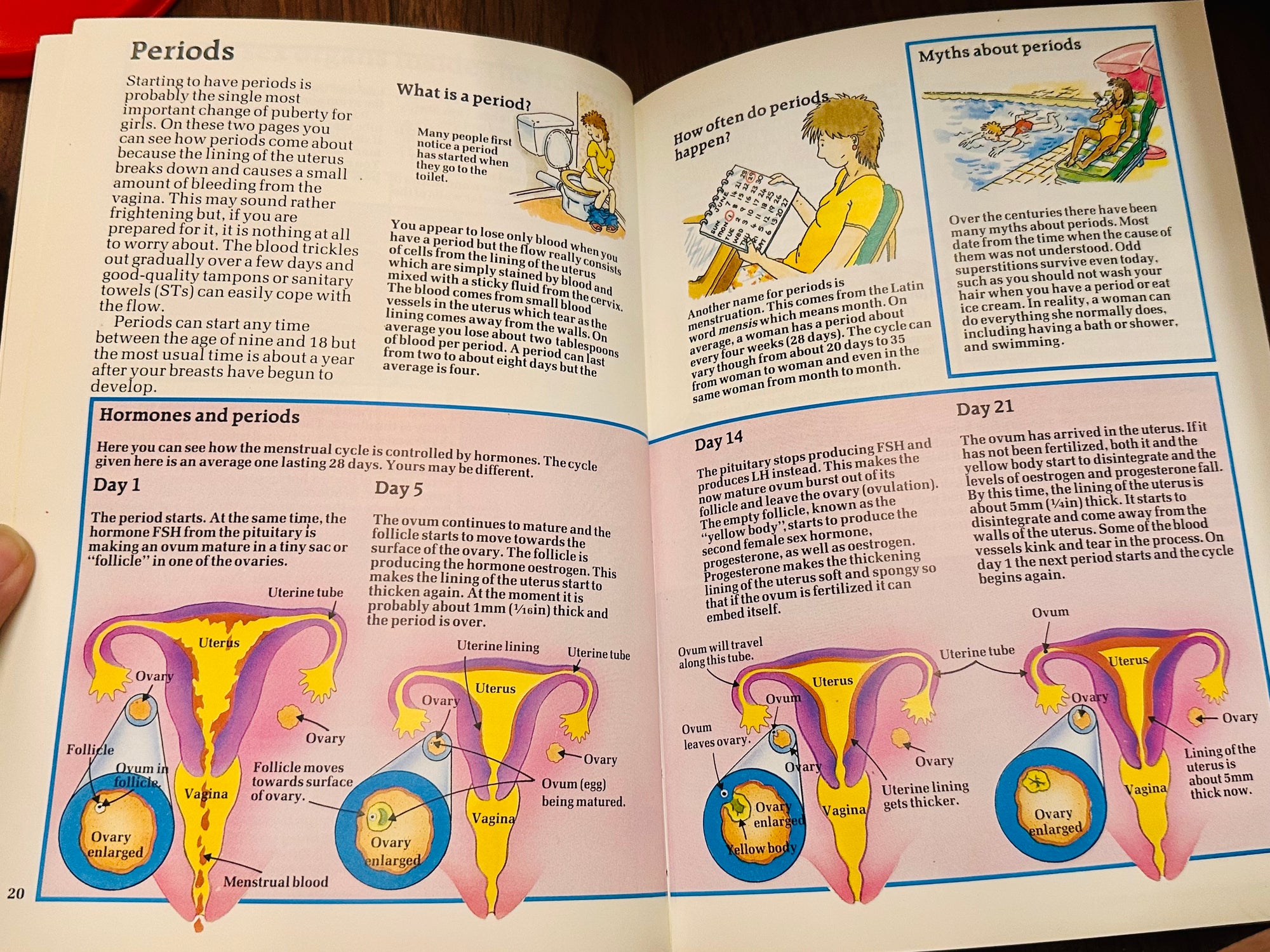 Usborne’s Book of Growing Up