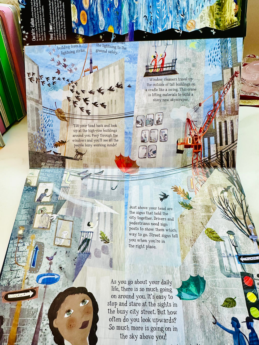 (Look Closer) The Skies Above My Eyes Fold Out Layer Layer Book