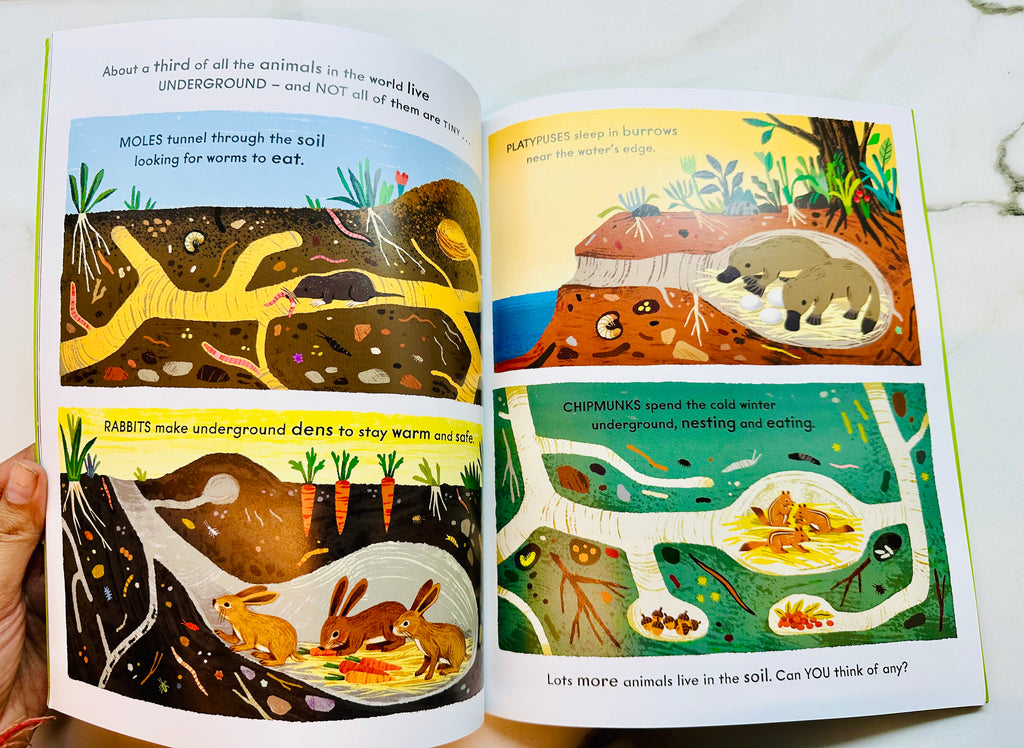 Wonder World Earth : The Natural Science Of Soil