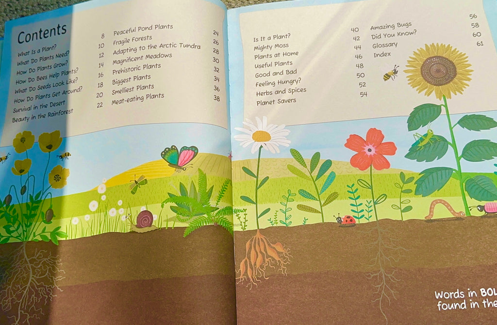 Plant : Explore the extraordinary world of plants and flowers