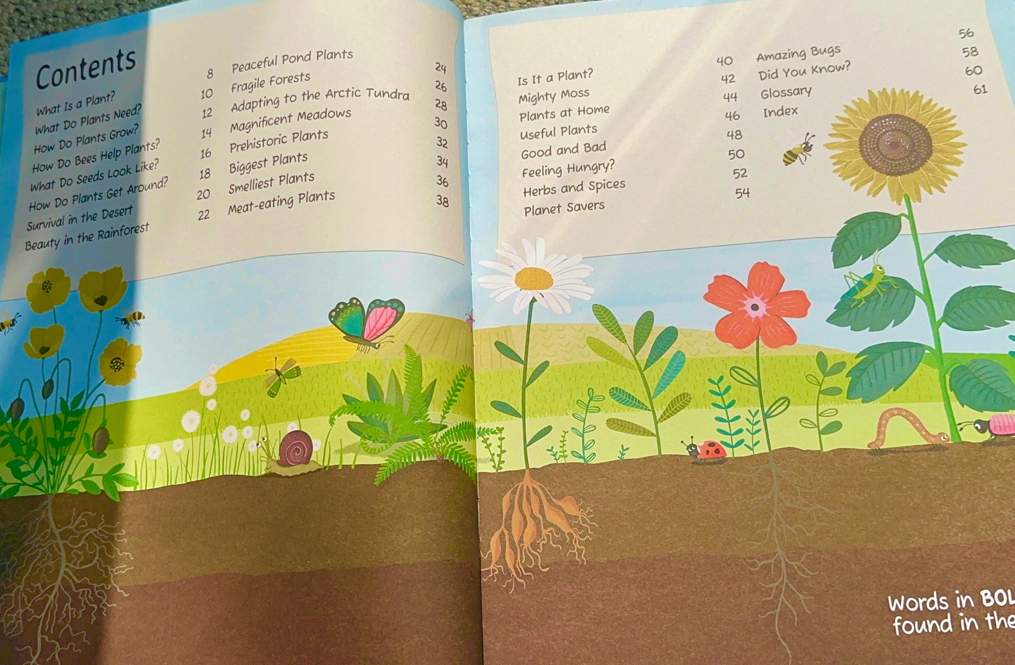 Plant : Explore the extraordinary world of plants and flowers