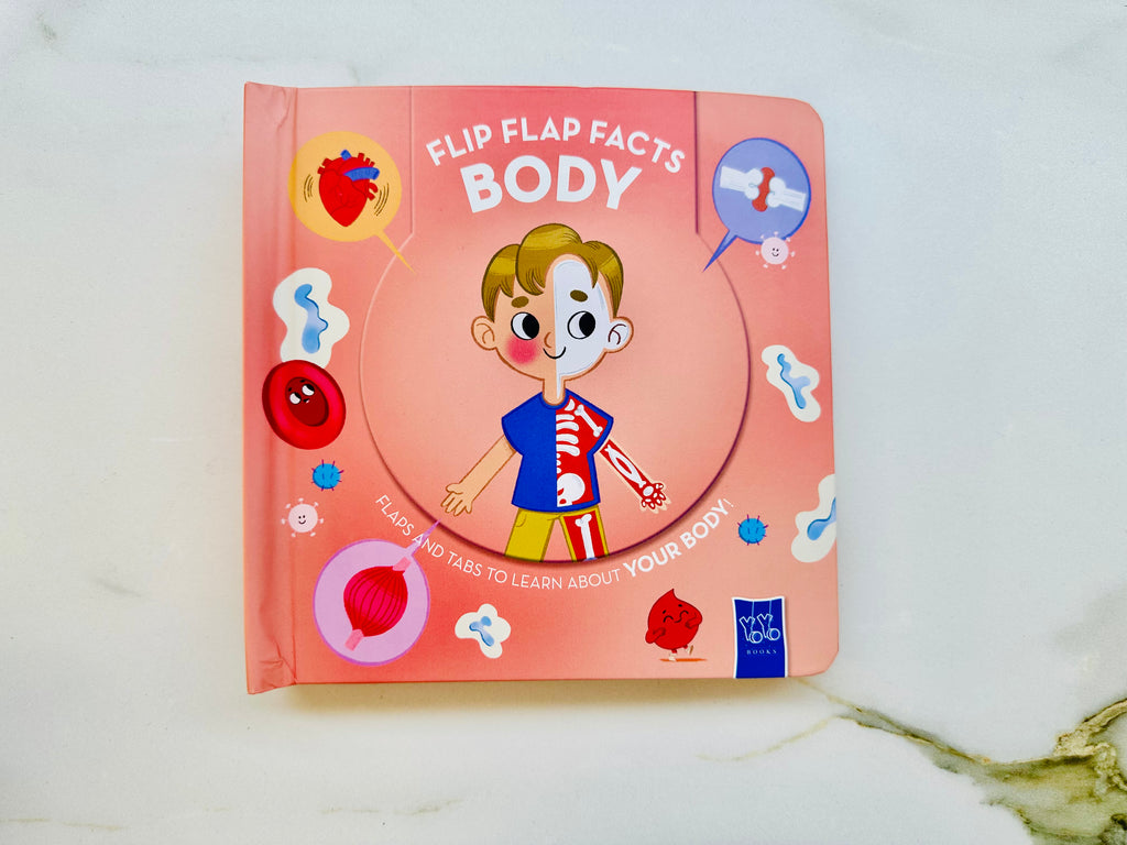 Flip Flap Facts : Body