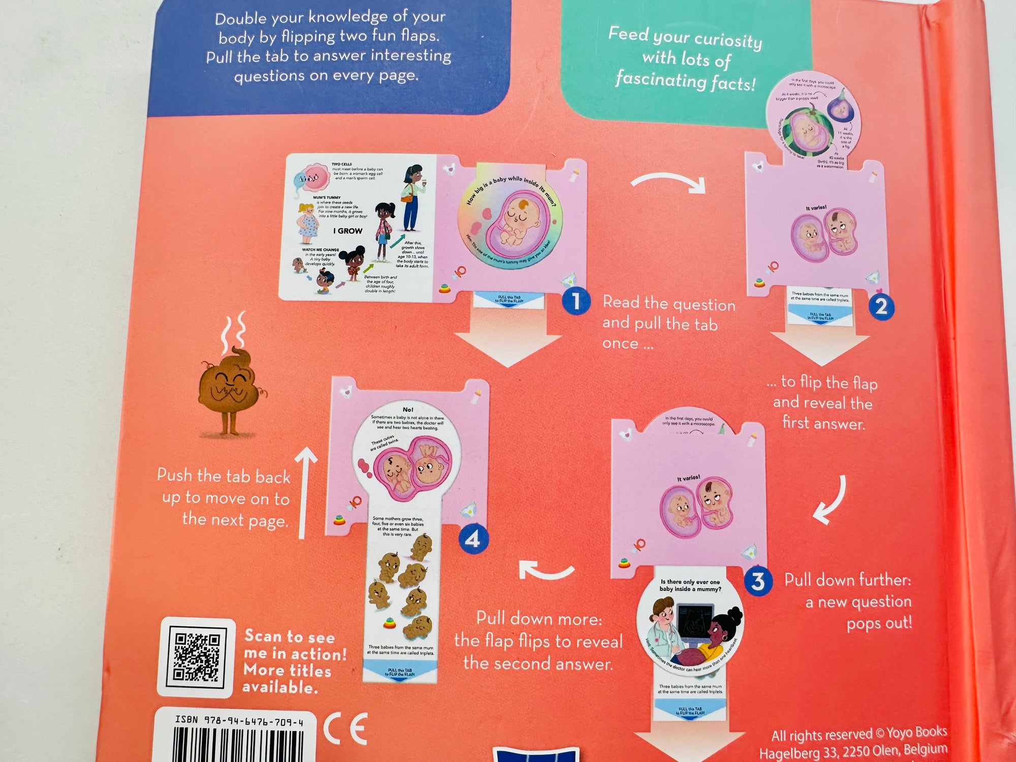 Flip Flap Facts : Body