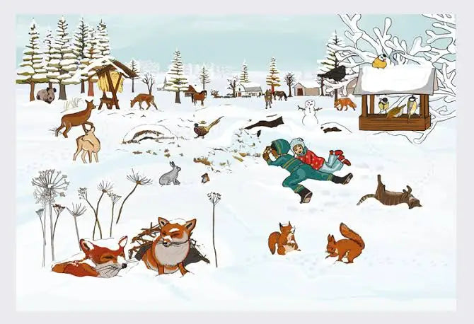 Big Book Of Snow And Ice