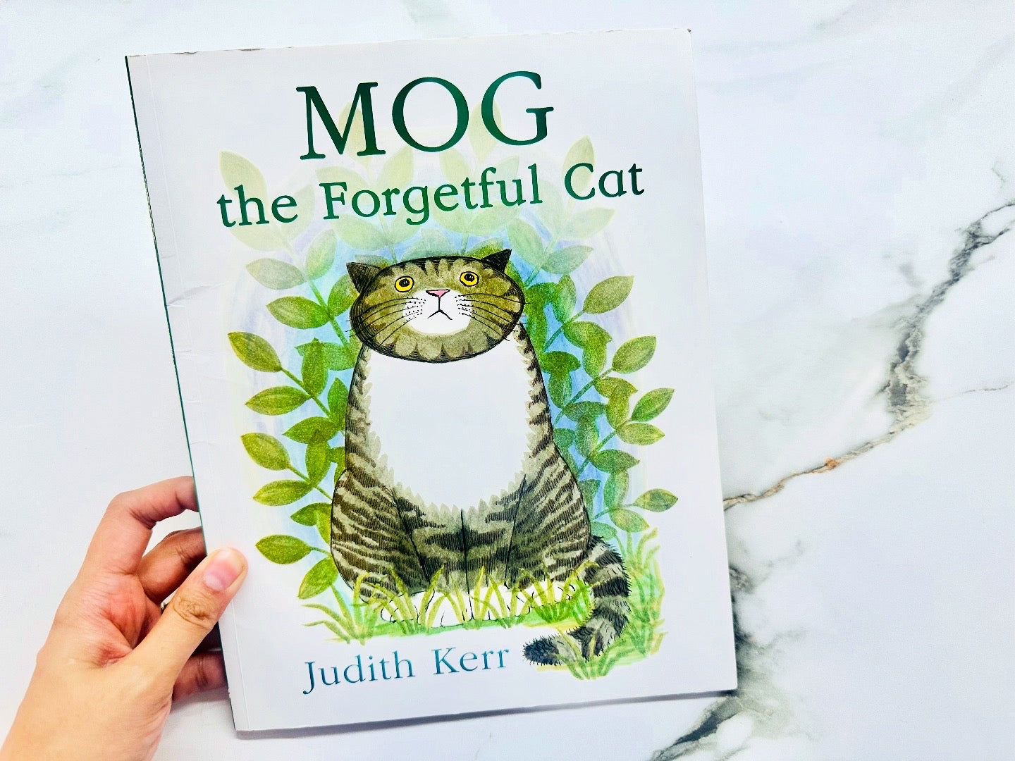 Mog : The Forgetful Cat