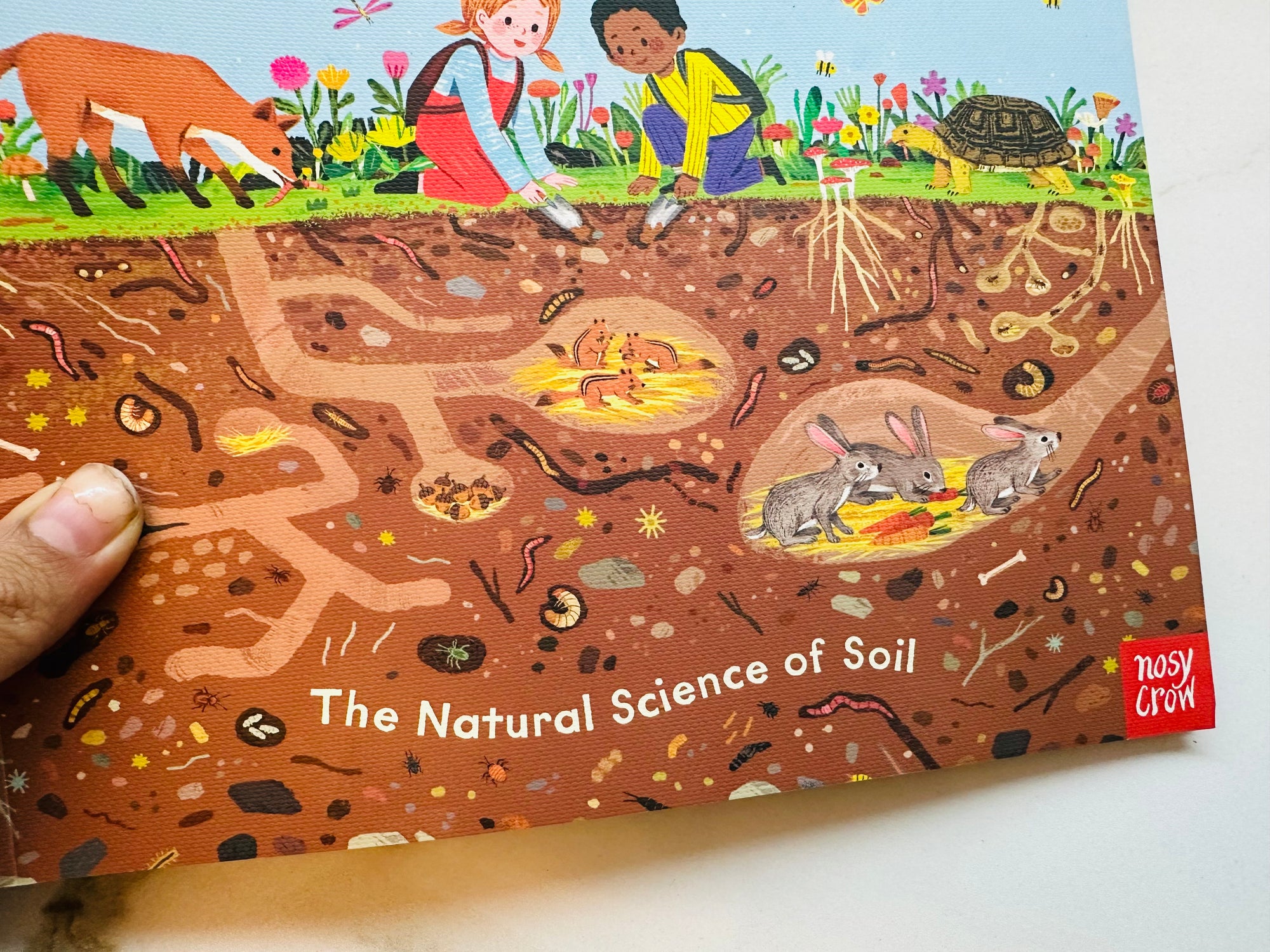 Wonder World Earth : The Natural Science Of Soil