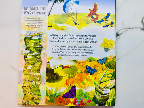 (Look Closer) The Forest That Grows Around Me