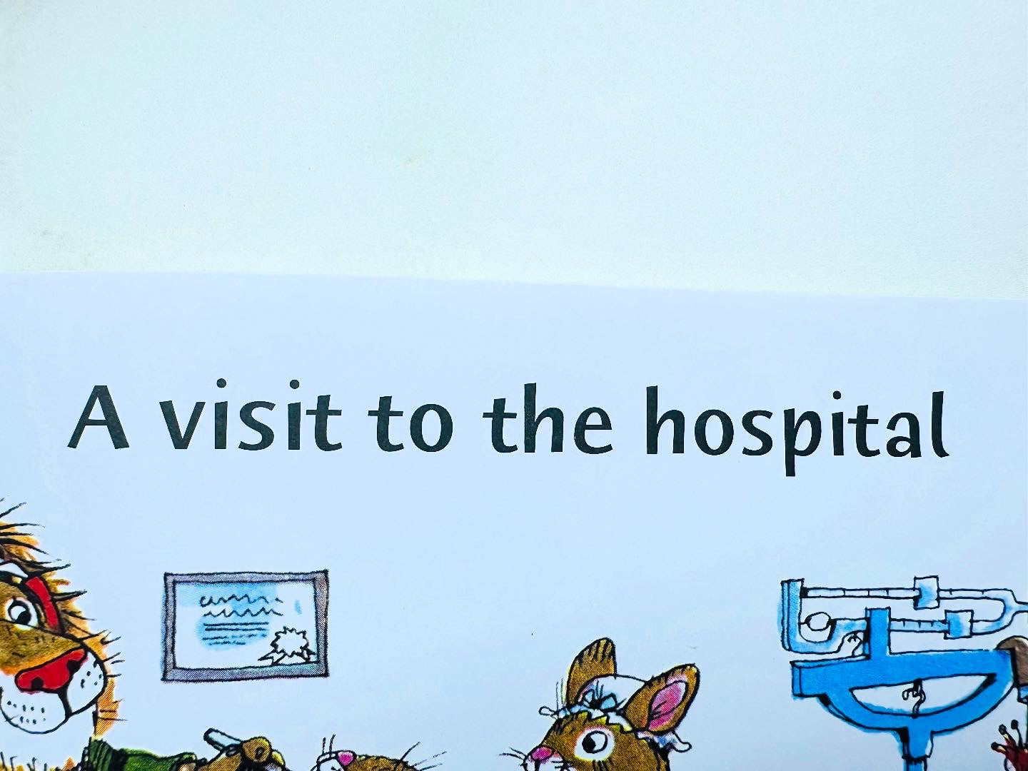 What do people do all day ?