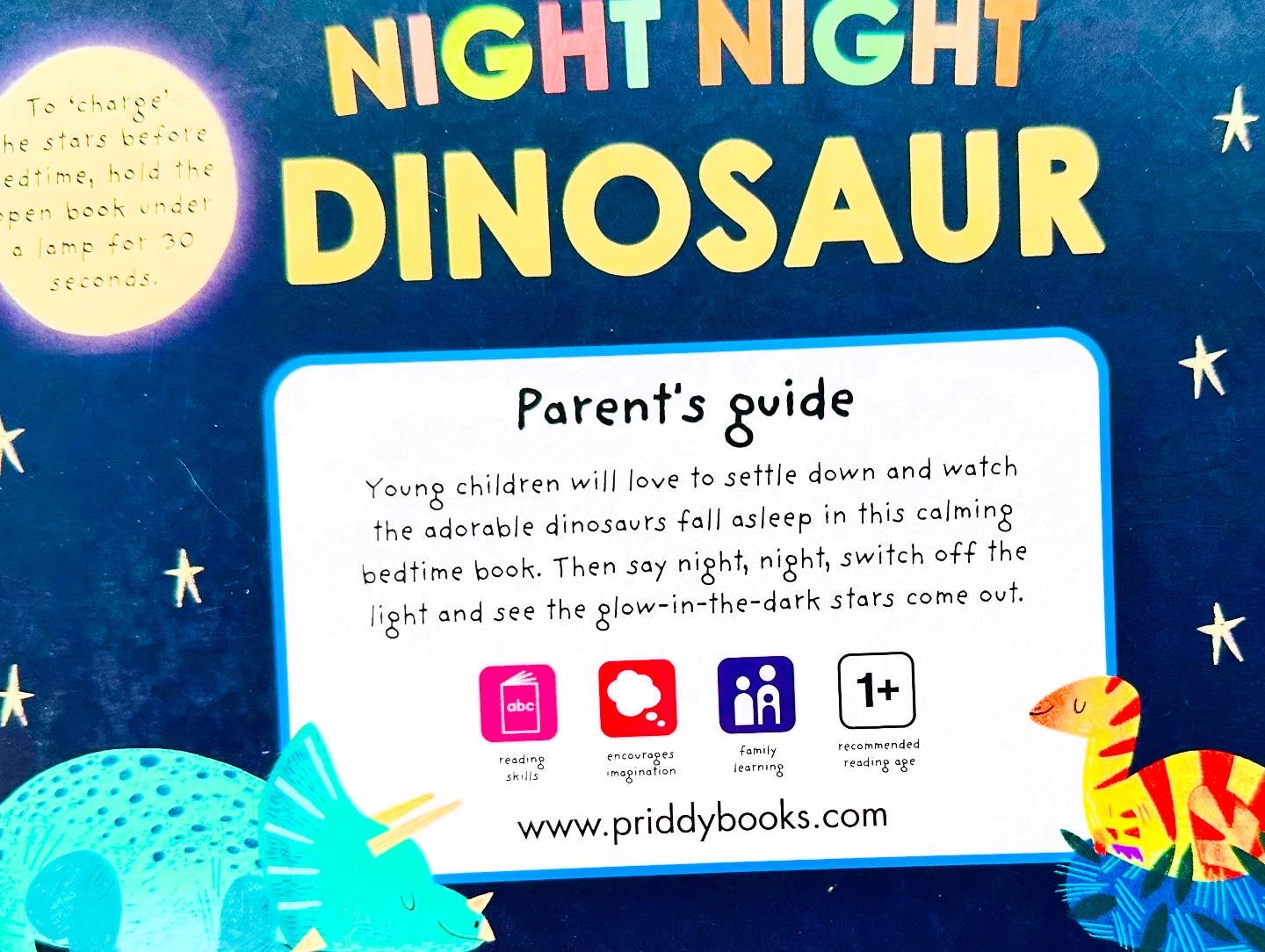 Night night dinosaurs glow in the dark book