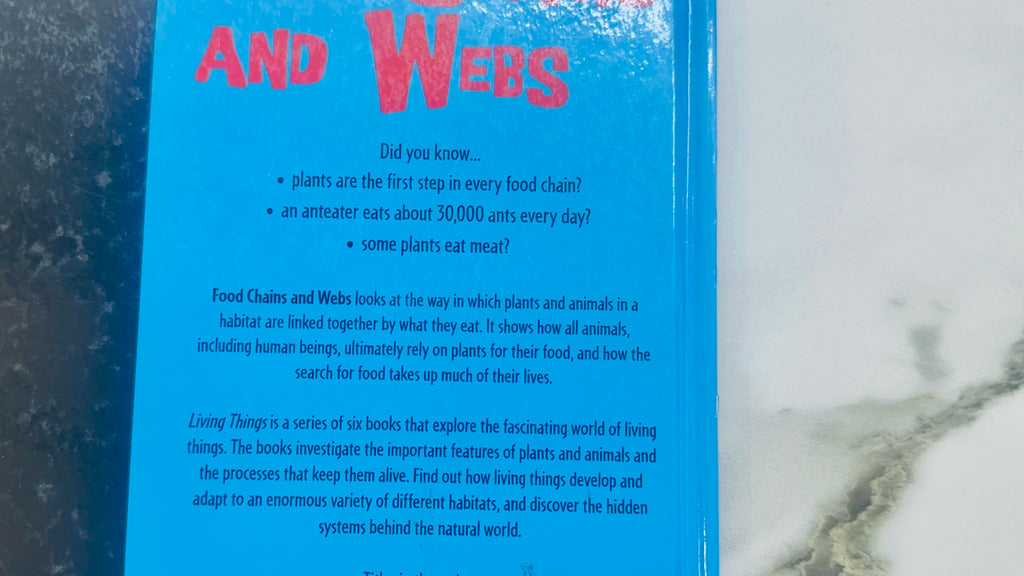 Food Chains And Webs