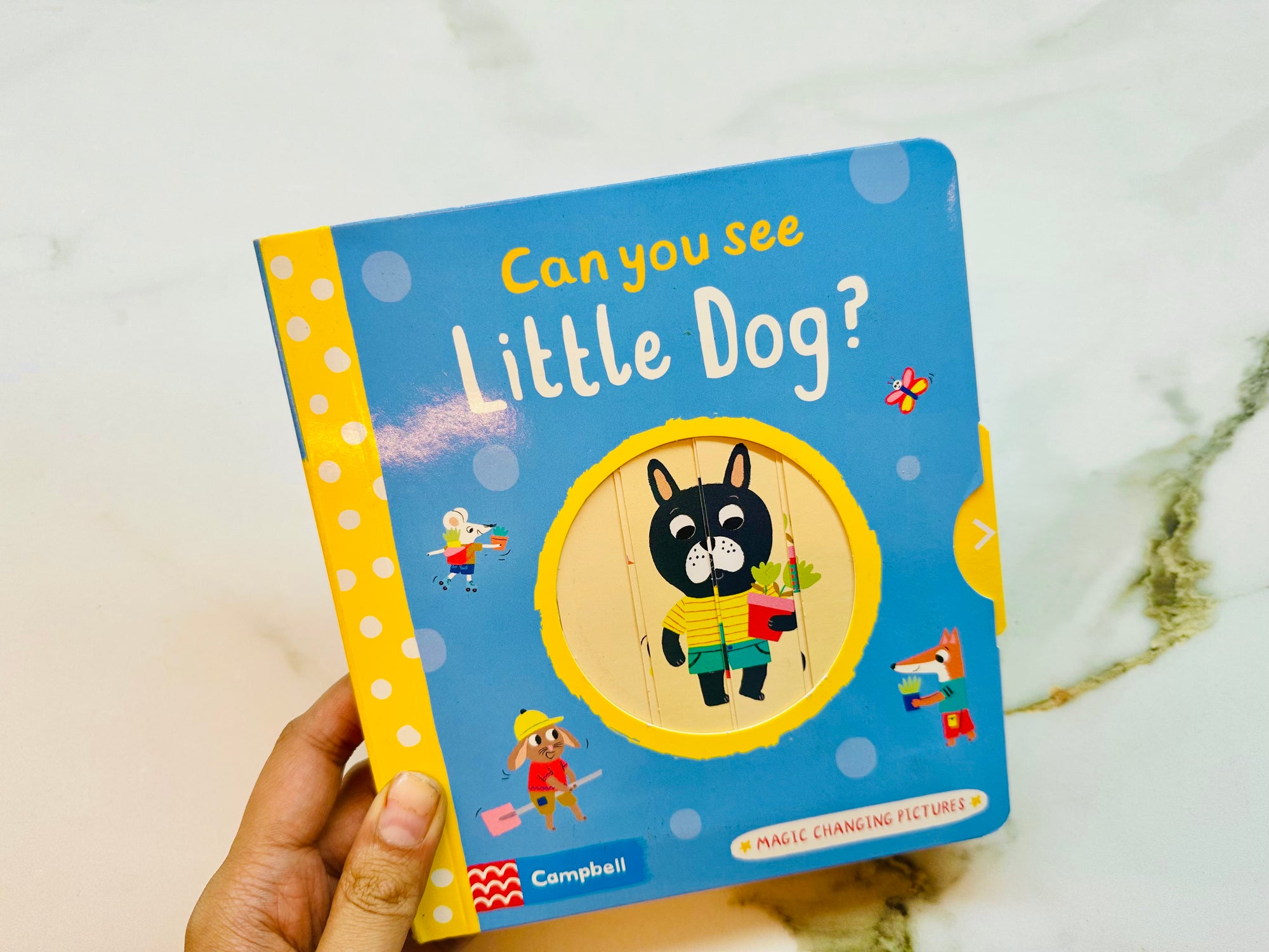 Can You See Little Dog?