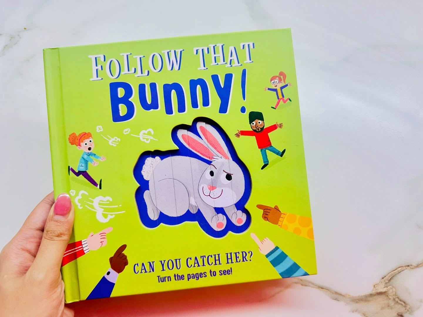 Follow That Bunny Changing Window Book