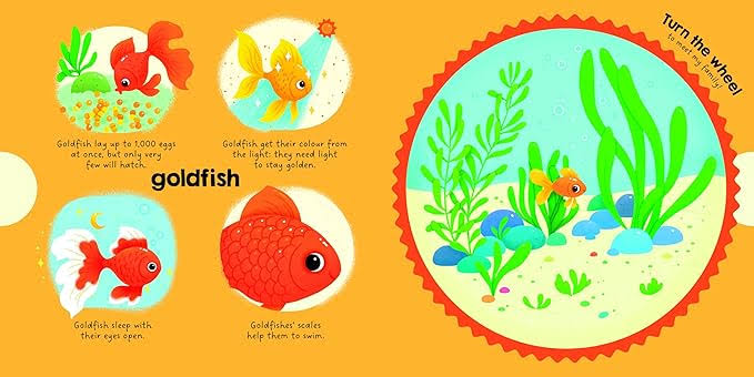 Turn The Wheel and Meet the Families : Animals Around Me