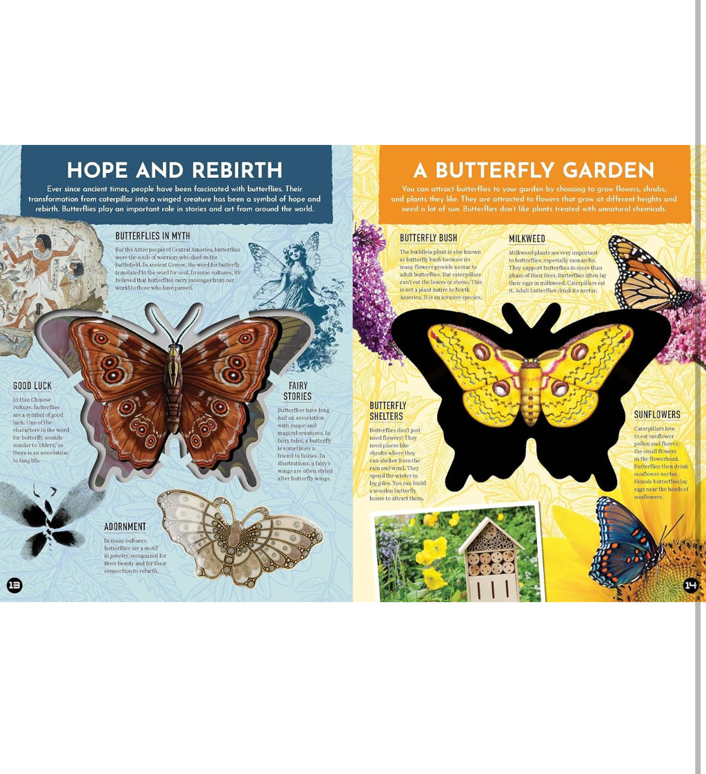 Inside Out Butterfly