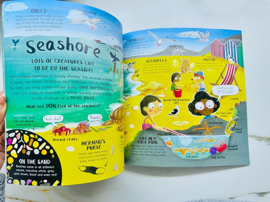 Do You Love Oceans? Facts about the Underwaters