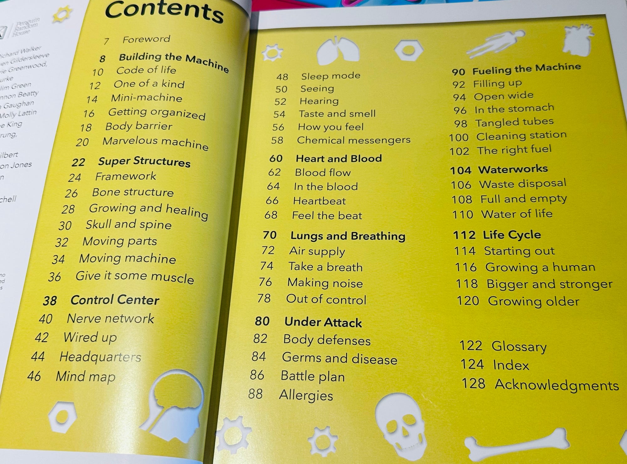 My Amazing Body Machine: A Colourful Visual Guide To How your Body Works
