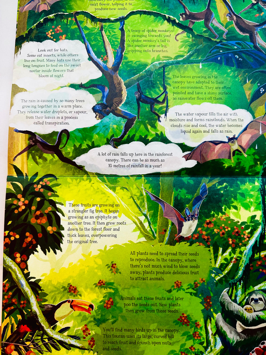 (Look Closer) The Forest That Grows Around Me