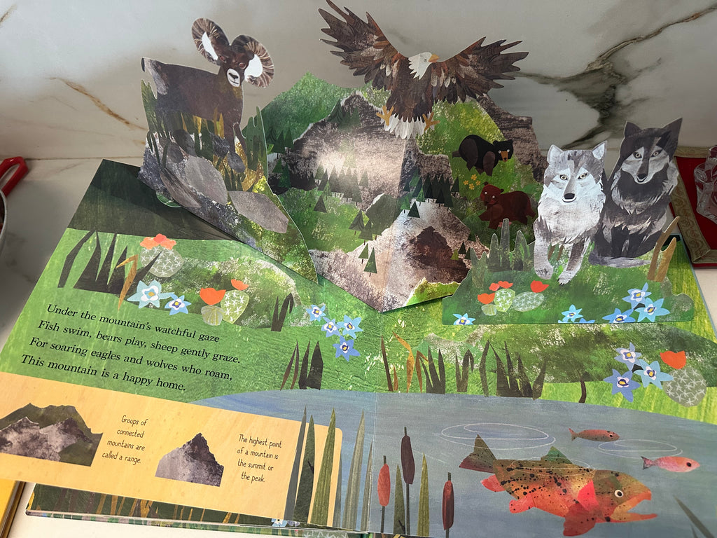 Pop Up Book : On The Mountain