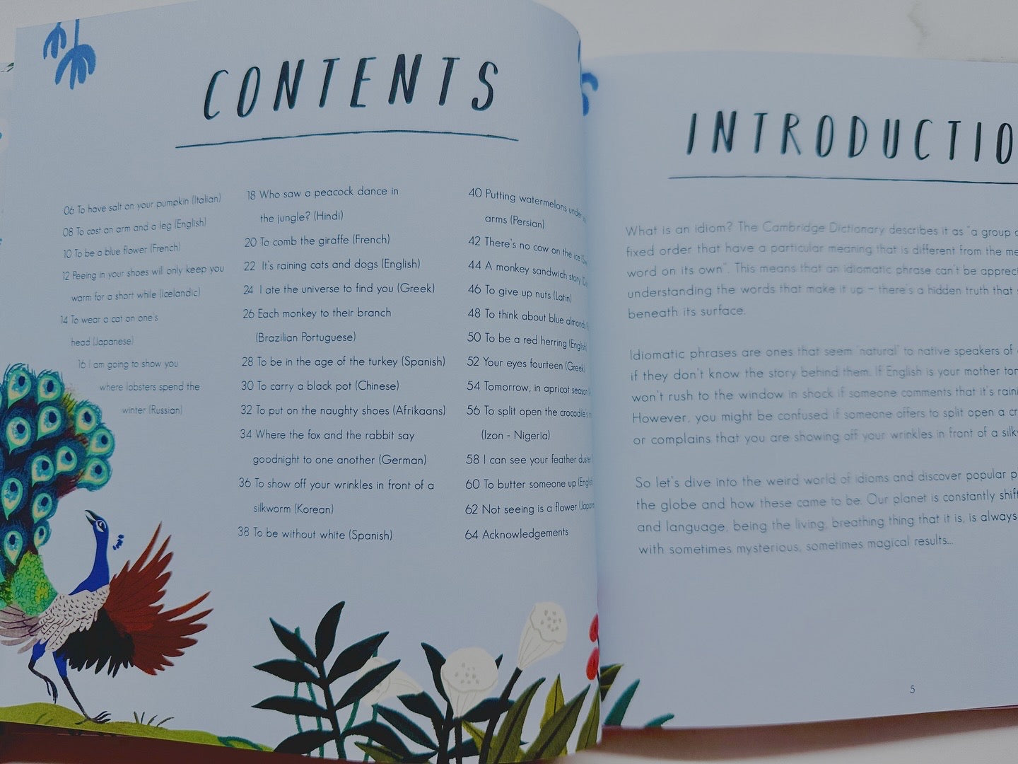 What a Wonderful Phrase : A Collection Of Idioms from Around The World