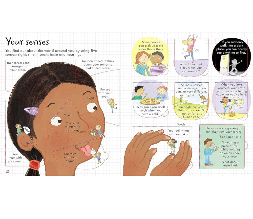 Look Inside Your Body