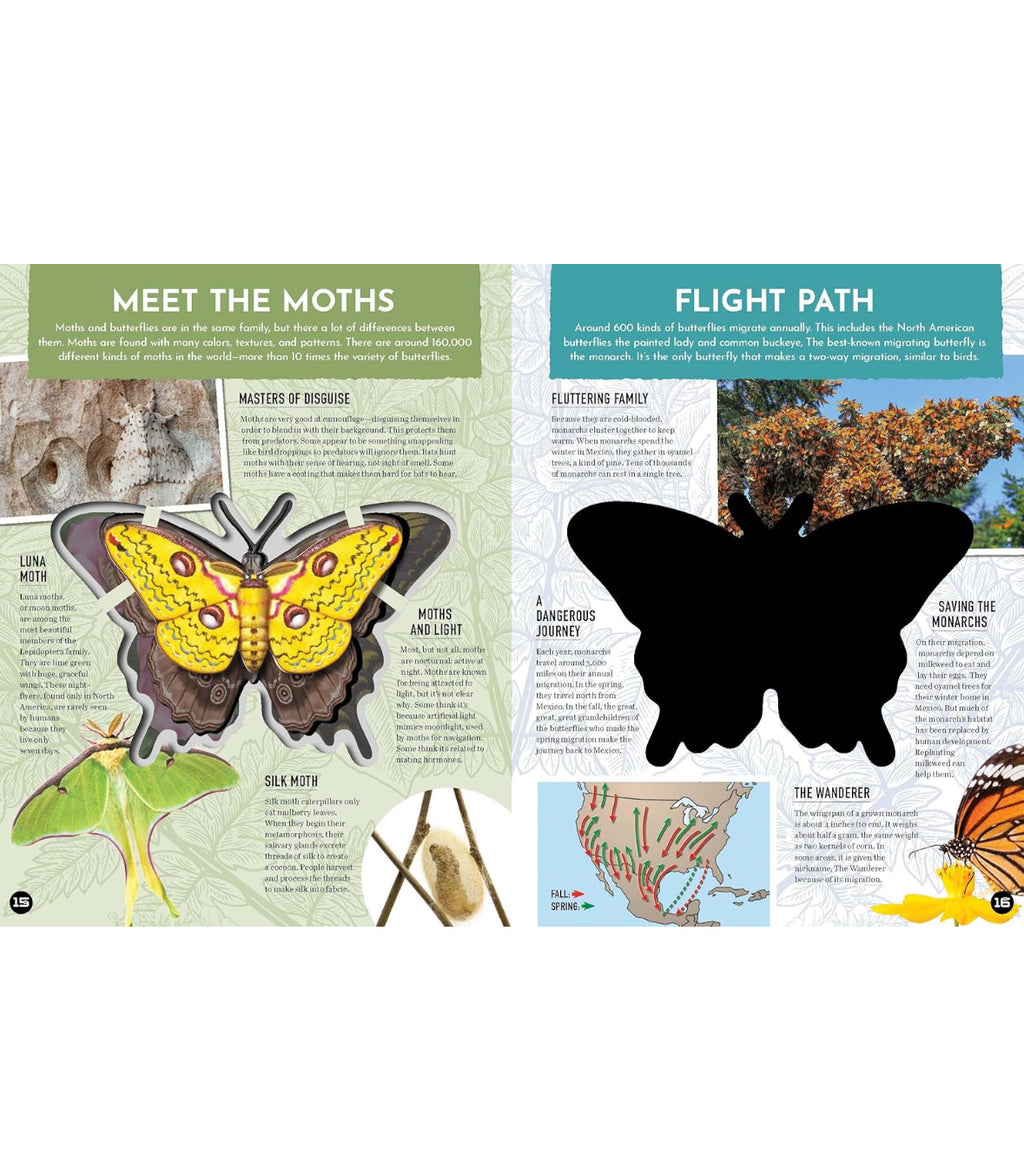 Inside Out Butterfly