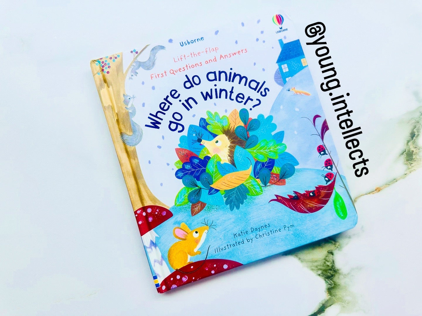 Usborne : Where Do Animals Go In Winter?