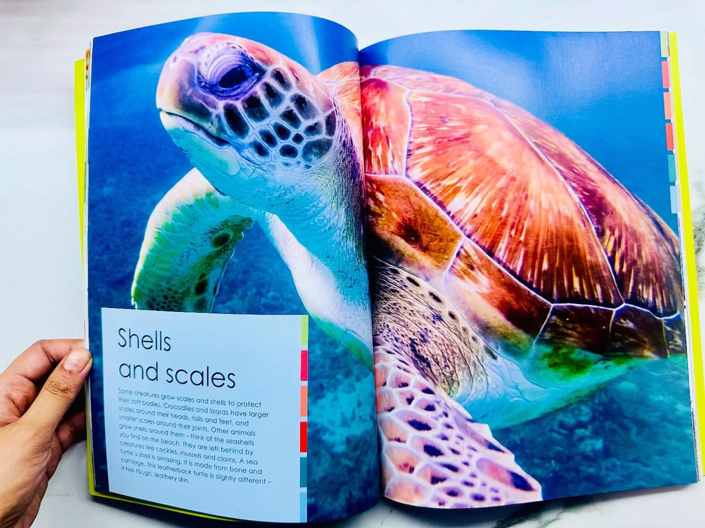 Curious Creatures with Stickers and Activities to make family learning fun