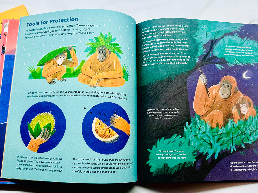 Curious Creatures: Working With Tools