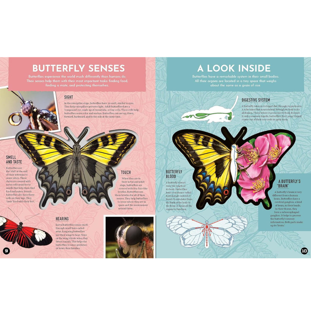 Inside Out Butterfly