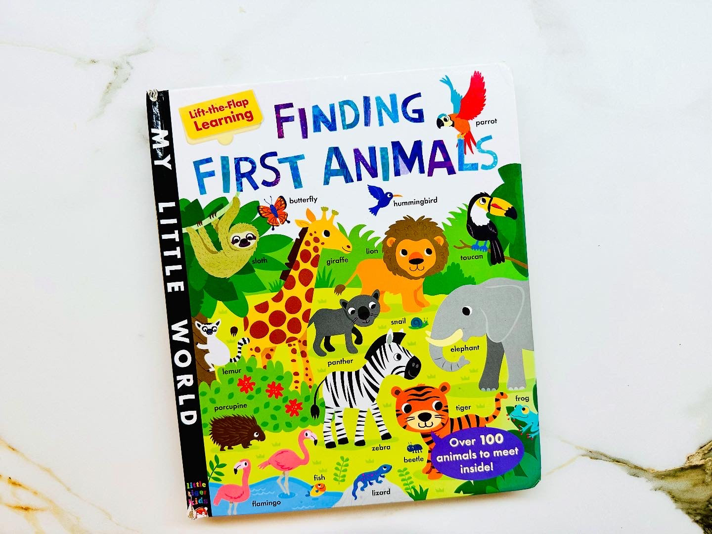 Finding First Animals