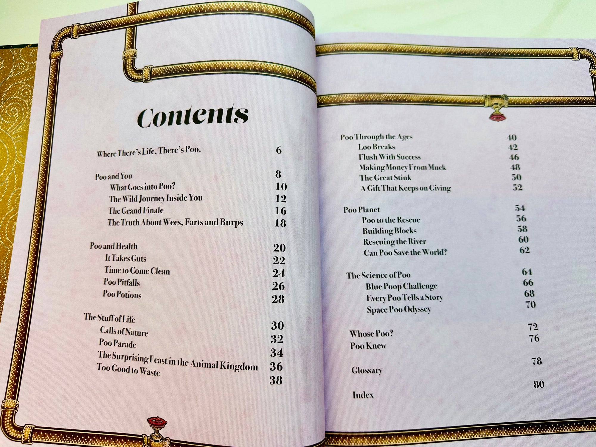 Poo : A Very Natural History & A Powerful Future