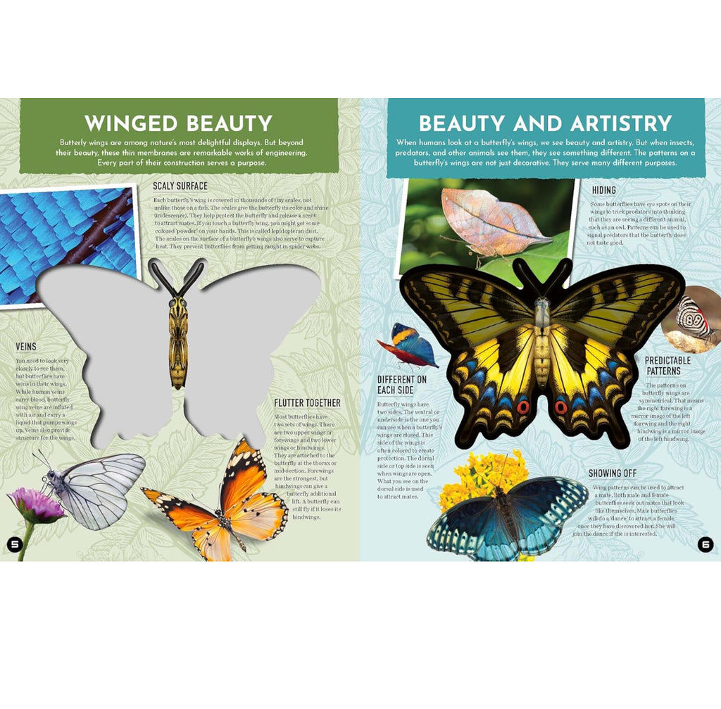 Inside Out Butterfly