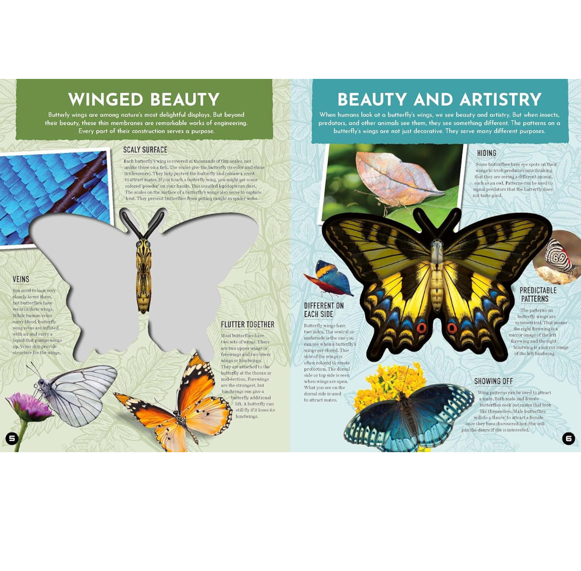 Inside Out Butterfly