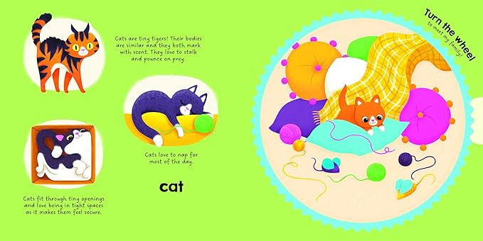 Turn The Wheel and Meet the Families : Animals Around Me