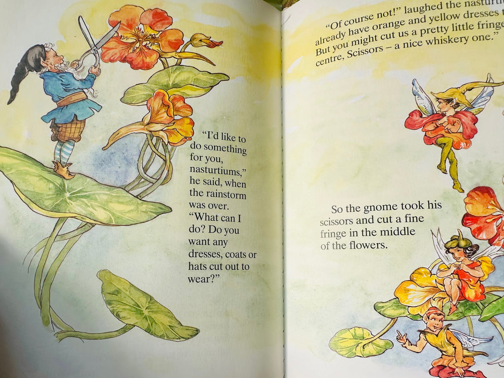 The tale of scissors the gnome : Enid Blyton