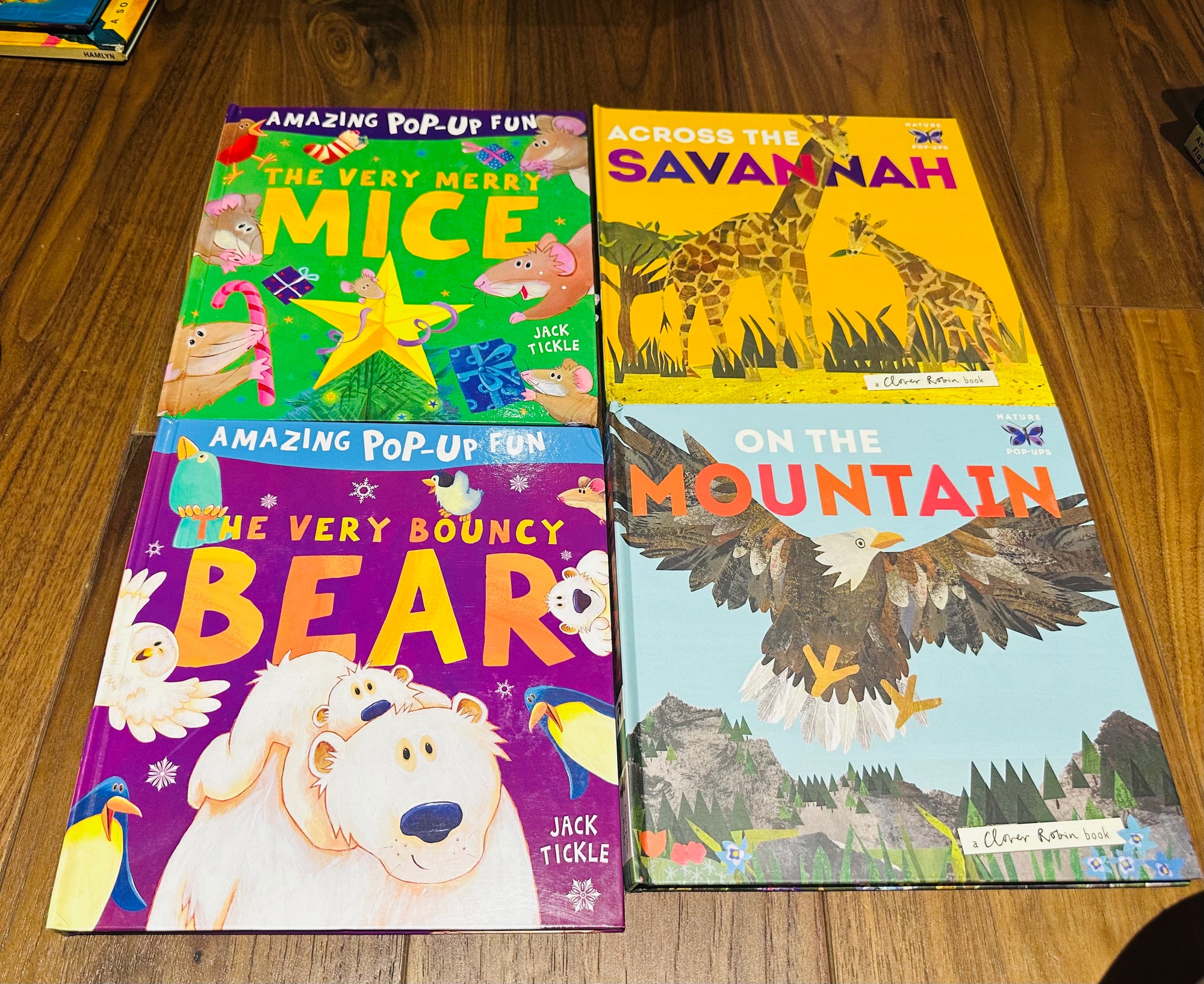 Pop Up Book : Savannah