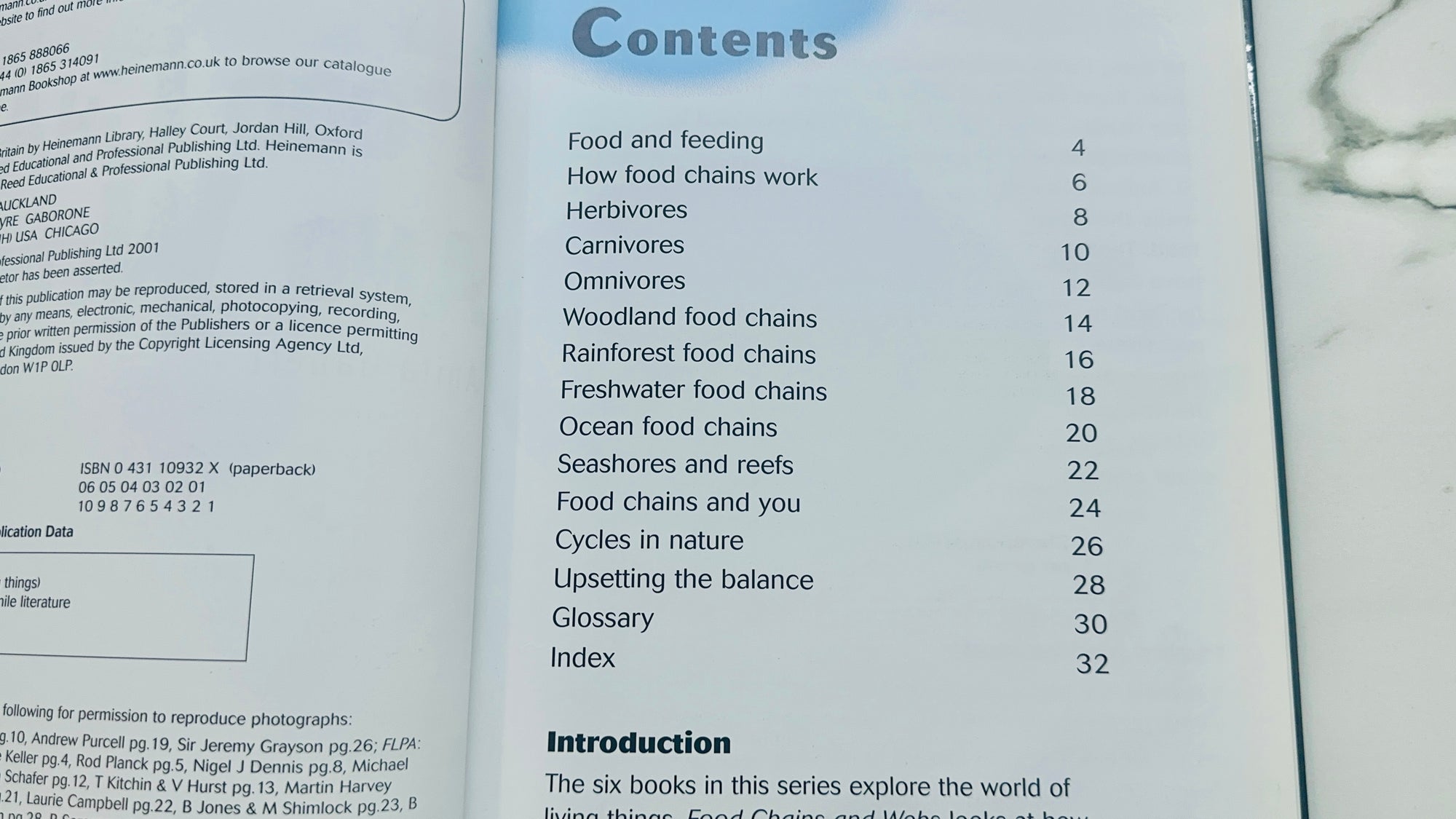 Food Chains And Webs