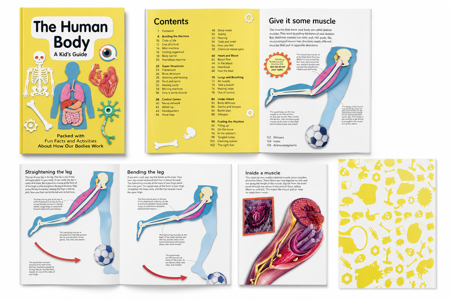 My Amazing Body Machine: A Colourful Visual Guide To How your Body Works