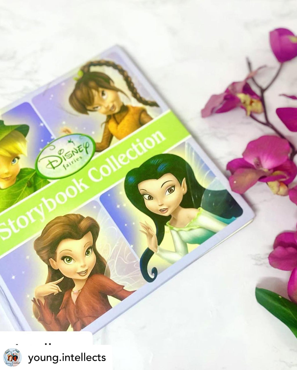 Disney Stories Collection of Fairies