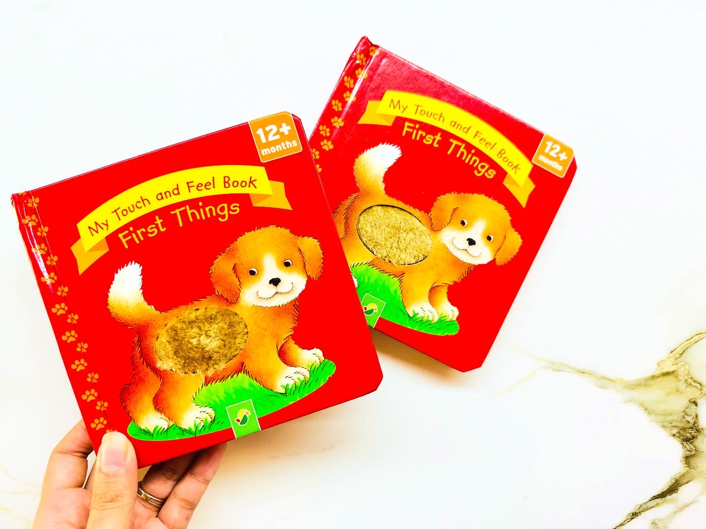 My First Touch & Feel Book : First Things