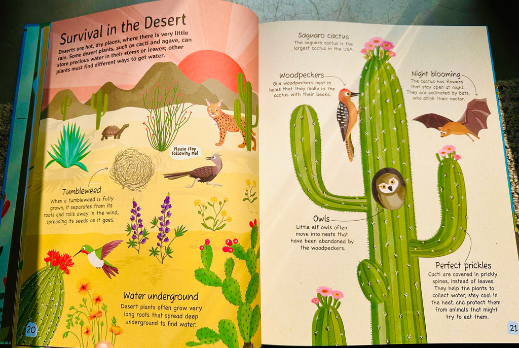 Plant : Explore the extraordinary world of plants and flowers