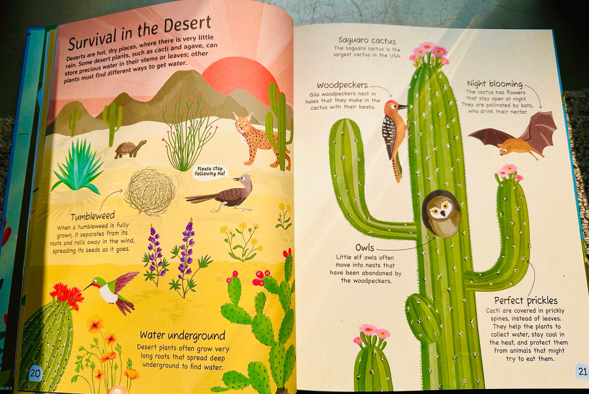 Plant : Explore the extraordinary world of plants and flowers