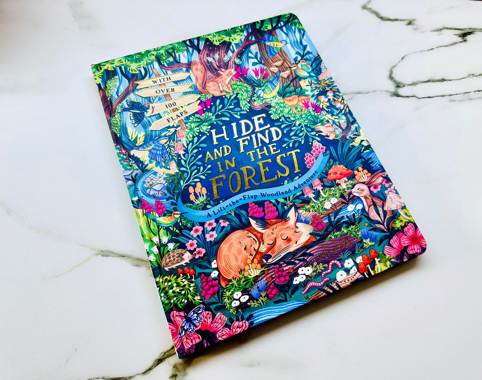 Lift the Flap Book : Hide and Find In The Forest
