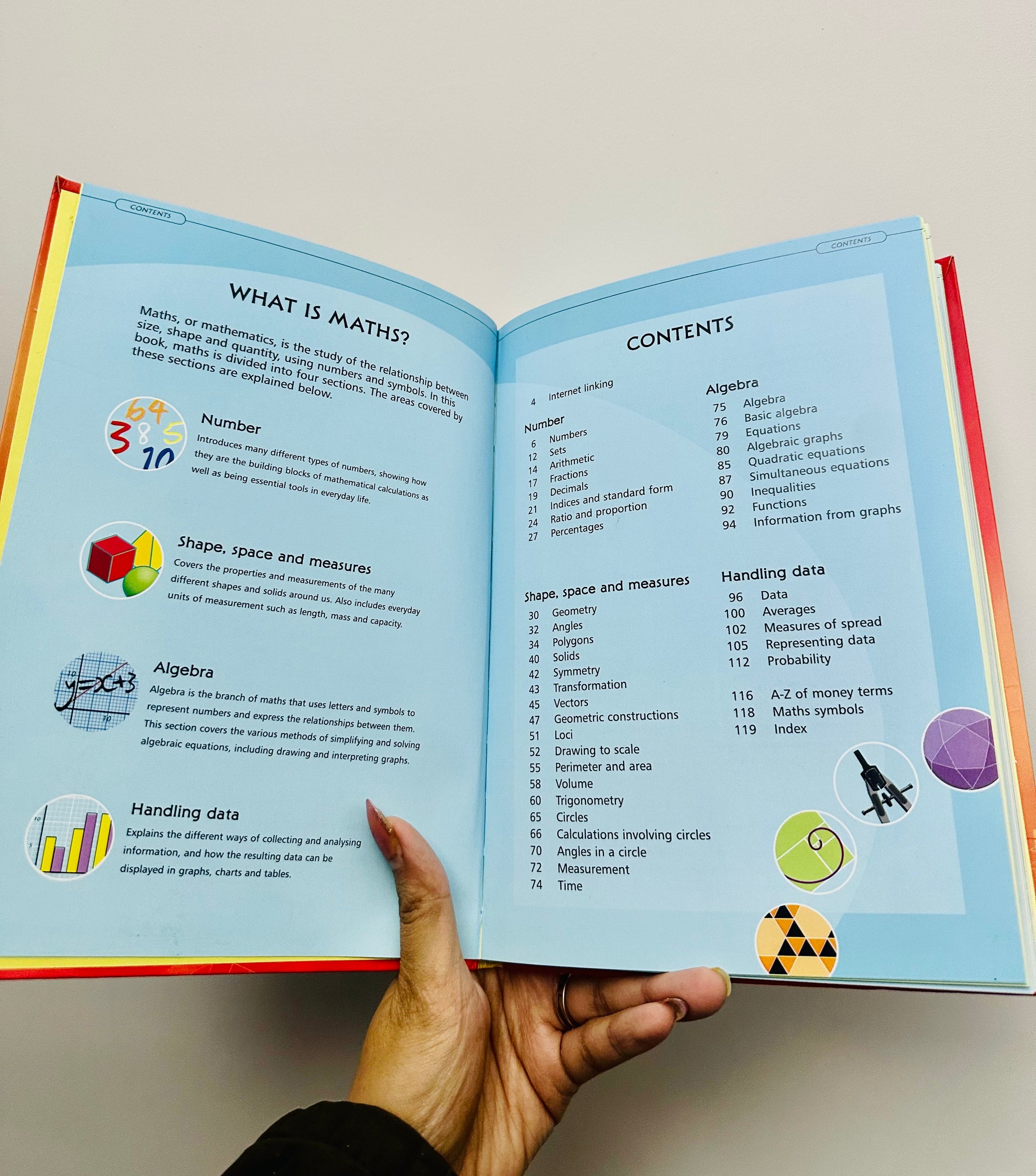 Usborne Illustrated Dictionary of Maths