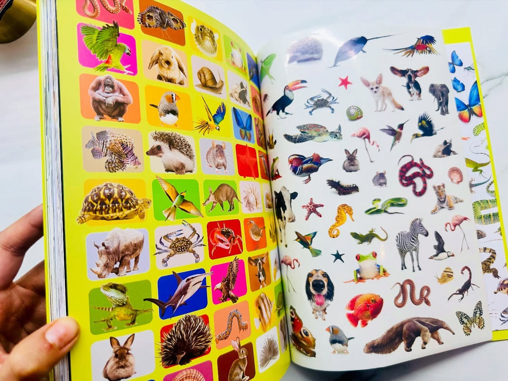 Curious Creatures with Stickers and Activities to make family learning fun