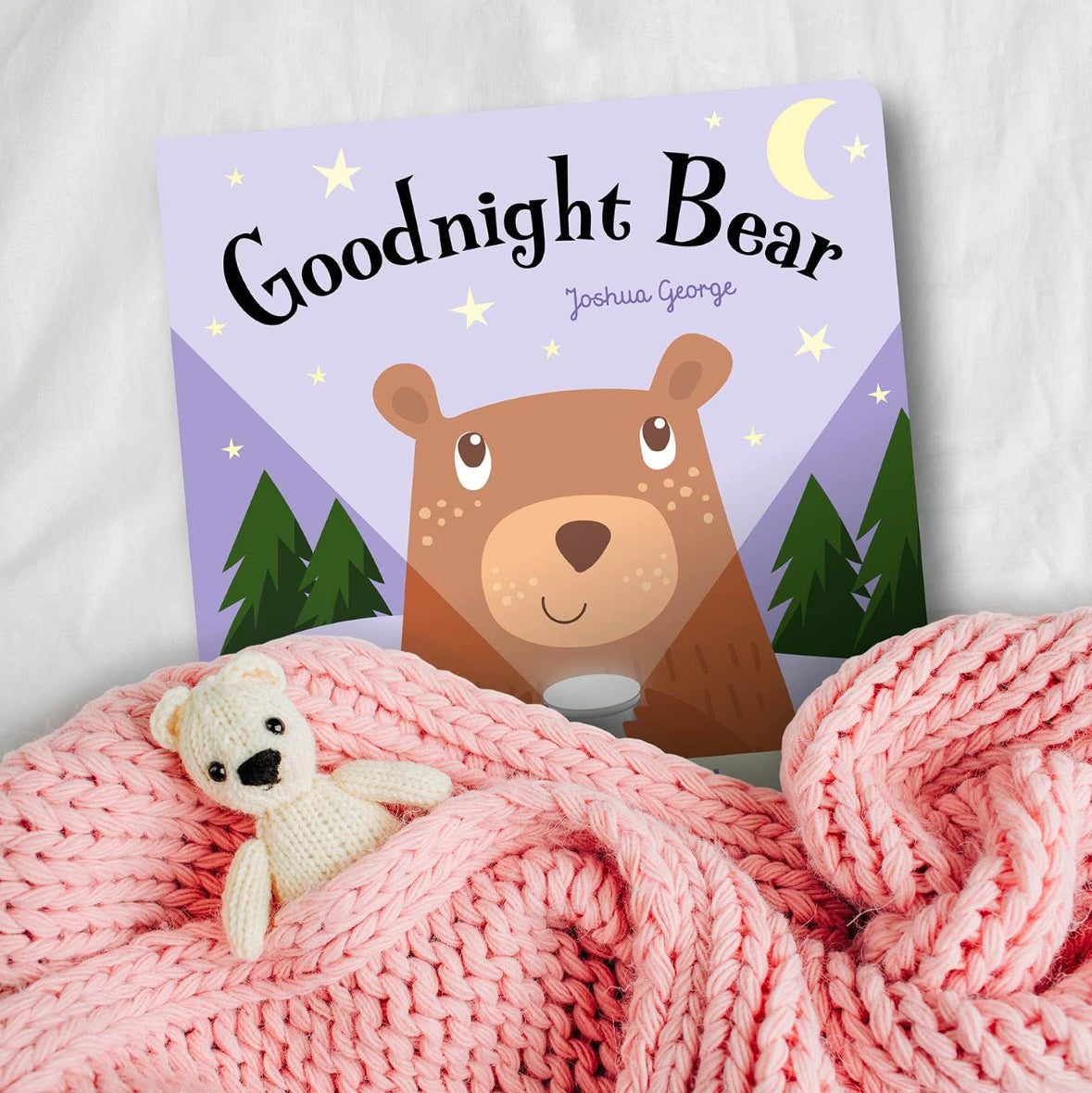 Good Night Bear : A Shine the Torch Book