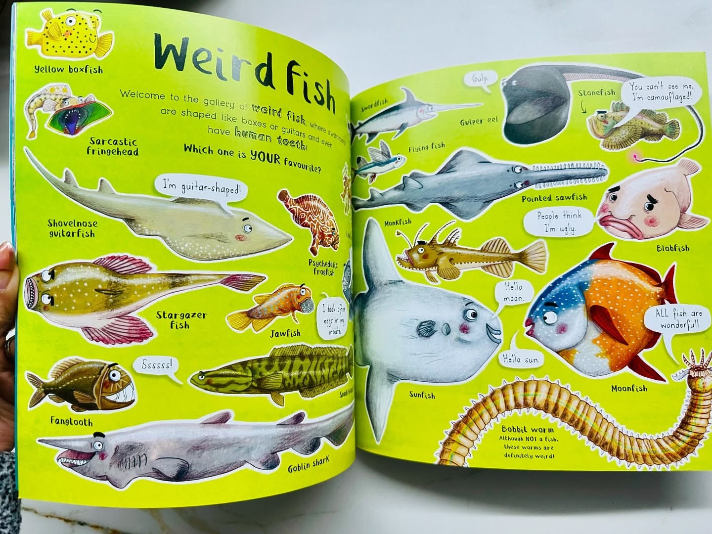 Do You Love Oceans? Facts about the Underwaters