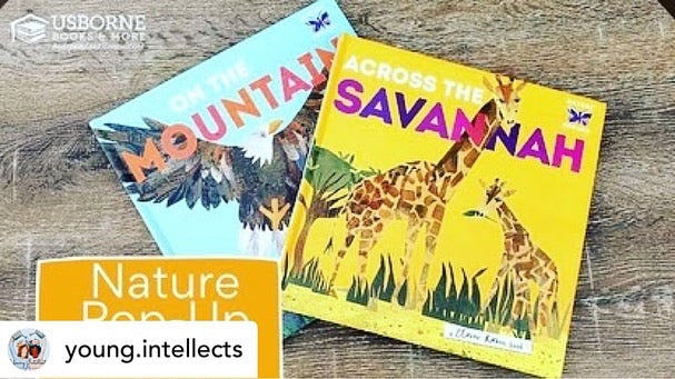 Pop Up Book : Savannah